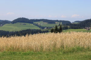 Roggen-im-Emmental